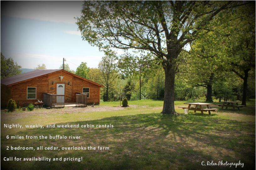 Cedar Cabin Located On A Buffalo Farm Marshall Luaran gambar